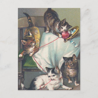 Cartão Postal Cartão-postal "Kittens Brincando com Knitting Wool