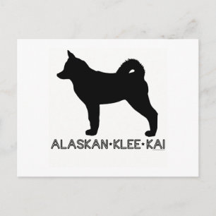 Cartão Postal Cartão-postal Klee Kai do Alaska