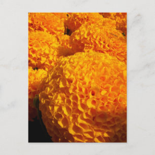 Cartão Postal Cartão-postal Laranja Puff