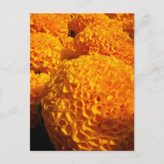 Cartão Postal Cartão-postal Laranja Puff