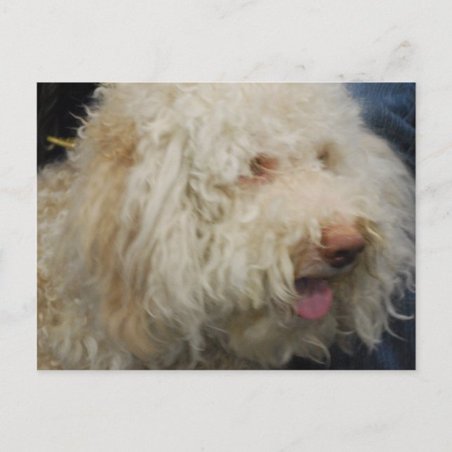 Cartão Postal Cartão-postal Logato Romagnolo (Frente)