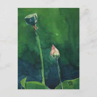 Cartão Postal Cartão-postal Lotus