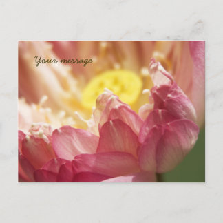 Cartão Postal Cartão-postal Lotus