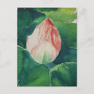 Cartão Postal Cartão-postal Lotus Watercolor