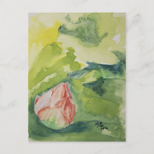 Cartão Postal Cartão-postal Lotus Watercolor