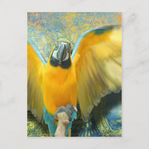 Cartão Postal Cartão-postal Macaw