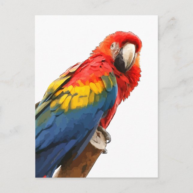Cartão Postal Cartão-postal Macaw Scarlet (Frente)