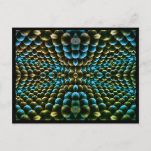 Cartão Postal Cartão-postal macrodelico