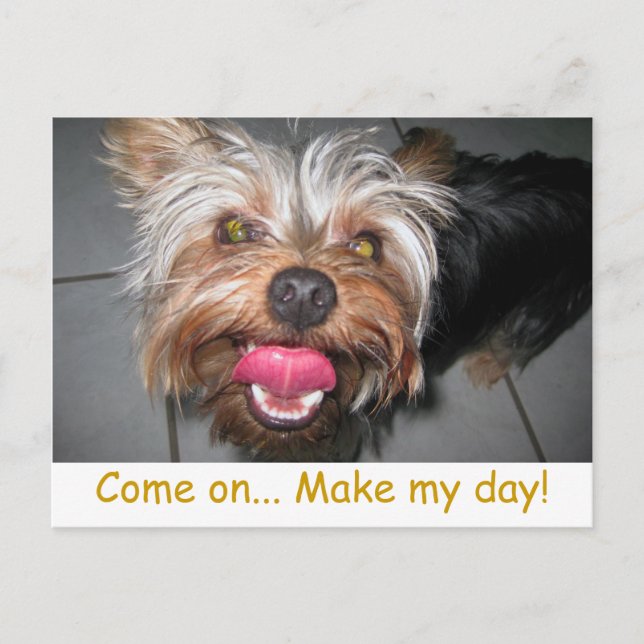 Cartão Postal Cartão-postal maluco (Frente)