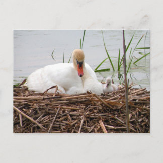 Cartão Postal Cartão-postal Mama e Eu (2)