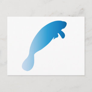 Cartão Postal Cartão-postal Manatee