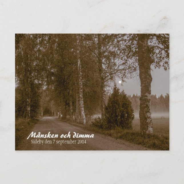 Cartão Postal Cartão-postal Månsken och dimma CC0545 (Frente)