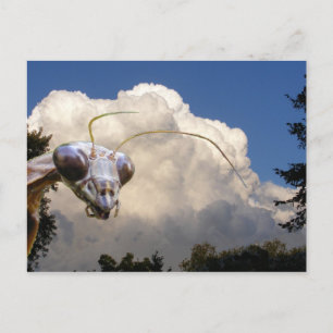 Cartão Postal Cartão-postal Mantis e Cloud