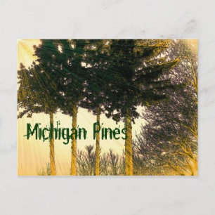 Cartão Postal Cartão-postal Michigan Pines