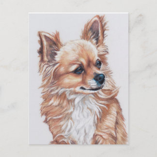 Cartão Postal Cartão-postal Mini Chihuahua DogArt
