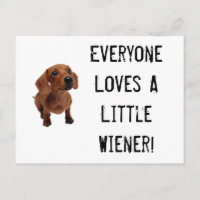 Cartão-postal Mini Dachshund