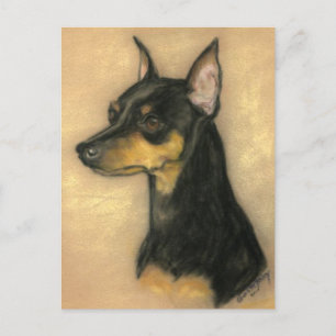 Cartão Postal Cartão-postal Miniatura Pinscher Cachorro