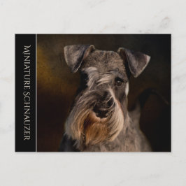 Cartão Postal Cartão-postal Miniatura Schnauzer