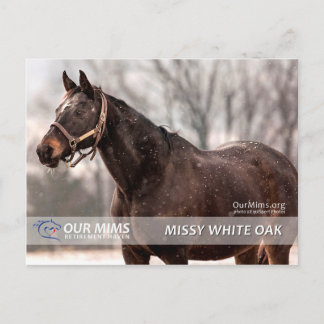 Cartão Postal Cartão-postal Missy White Oak