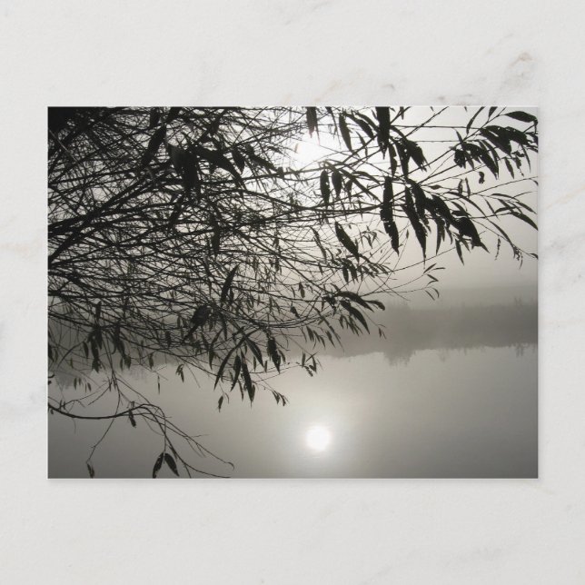 Cartão Postal Cartão-postal Mist e Shadow (Frente)