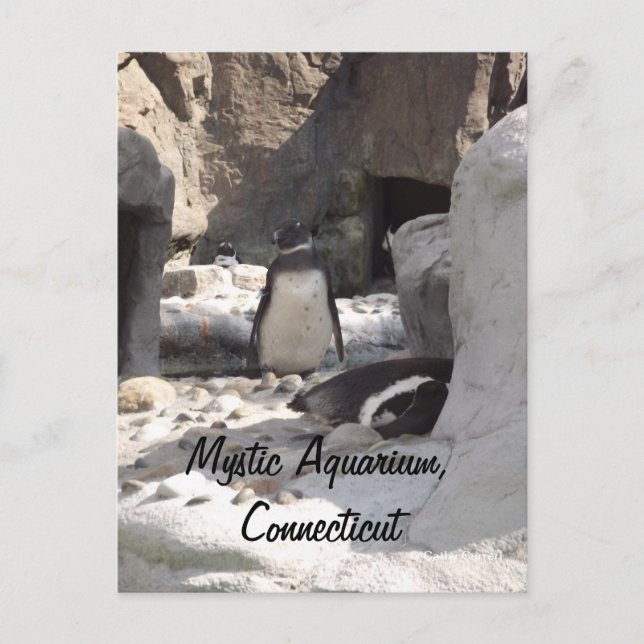 Cartão Postal Cartão-postal Místico (Frente)