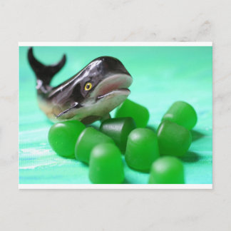 Cartão Postal Cartão-postal Misturado Estranho