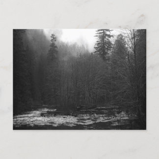 Cartão Postal Cartão-postal - Misty Salmon River, Oregon