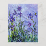 Cartão Postal Cartão-postal Monet Lilac Irises<br><div class="desc">Cartaz do Monet Lilac Irises. Pintura a óleo na canvas desde 1917. Monet pintou irises ao longo de sua carreira, esta é uma de suas pinturas finais da íris e certamente uma de suas mais assombrosas. O trabalho é bastante impressionista e os irlandeses roxos escuros quase parecem flutuar na água...</div>