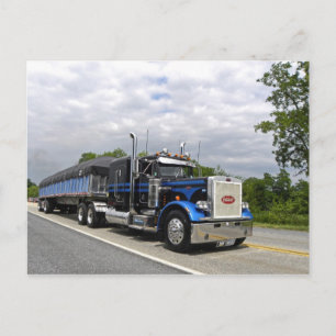 Cartão Postal Cartão-postal Moose Peterbilt 359