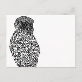 Cartão Postal Cartão-postal Morepork