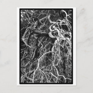 Cartão Postal Cartão-postal movido