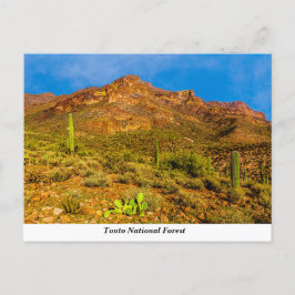 Cartão Postal Cartão-postal nacional da Tonto
