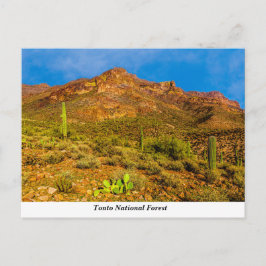 Cartão Postal Cartão-postal nacional da Tonto