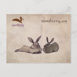 Cartão Postal Cartão-postal Nellie e Nesbit