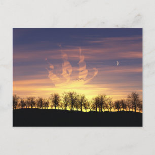 Cartão Postal Cartão-postal Noturno Sky