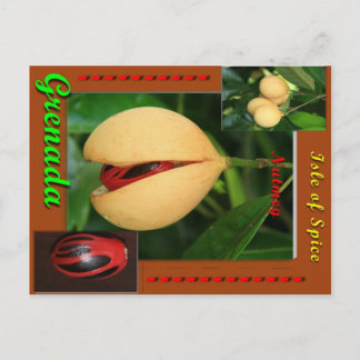 Cartão Postal Cartão-postal Nutmeg