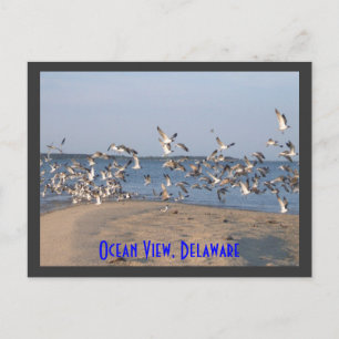 Cartão Postal Cartão-postal, Ocean View, Delaware