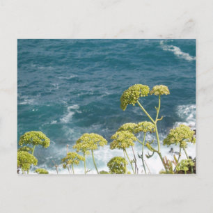 Cartão Postal Cartão-postal Oceano