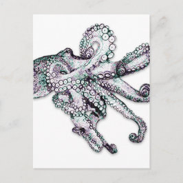 Cartão Postal Cartão-postal Octopus Atlântico