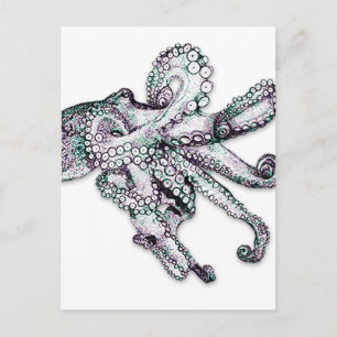 Cartão Postal Cartão-postal Octopus Atlântico