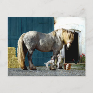 Cartão Postal Cartão-postal "Odin & The Twins"