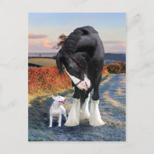 Cartão Postal Cartão-postal "Ollie & Blackbird"