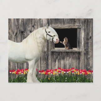 Cartão Postal Cartão-postal "One Primavera Morning"