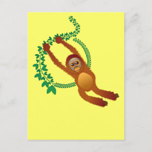 Cartão Postal Cartão-postal Orangutan