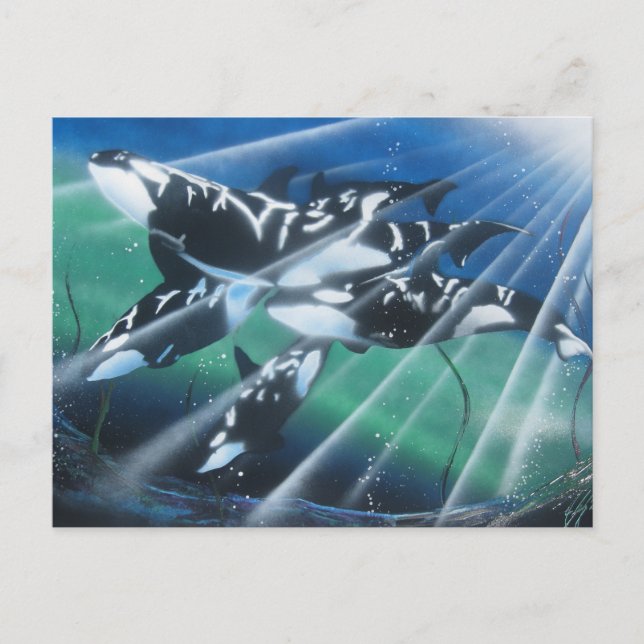 Cartão Postal Cartão-postal Orca (Frente)