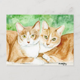 Cartão Postal Cartão-postal original das Irmãs Gatos Amarelos