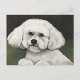 Cartão Postal Cartão-postal original de arte canina Bichon Fris