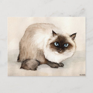 Cartão Postal Cartão-postal original de arte Himalayan Cat