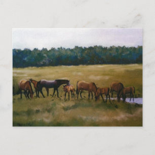 Cartão Postal Cartão-postal original de arte Mares e Foals