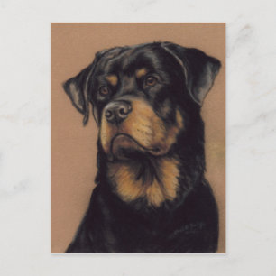 Cartão Postal Cartão-postal original Rottweiler